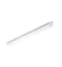 Philips Stagna LED CoreLine WT120C Gen2 18/32W 2700/4500lm - 840 Bianco Freddo | 120cm