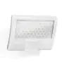 Steinel XLED Curved LED Riflettore con Sensore Bianco